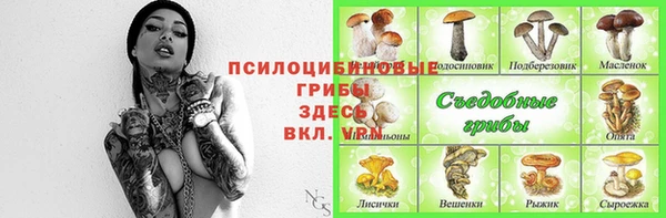 герыч Алзамай