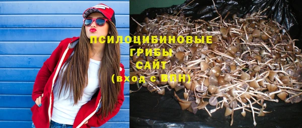 герыч Алзамай