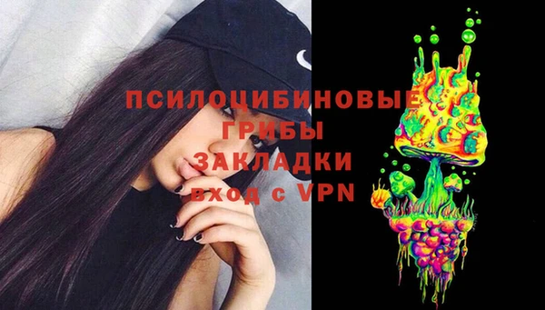 ПСИЛОЦИБИНОВЫЕ ГРИБЫ Алексин