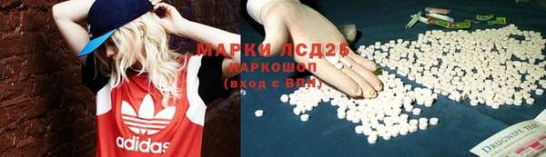 ПСИЛОЦИБИНОВЫЕ ГРИБЫ Алексин