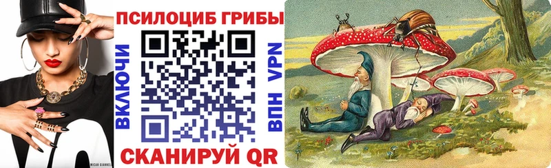 Псилоцибиновые грибы прущие грибы Лабинск